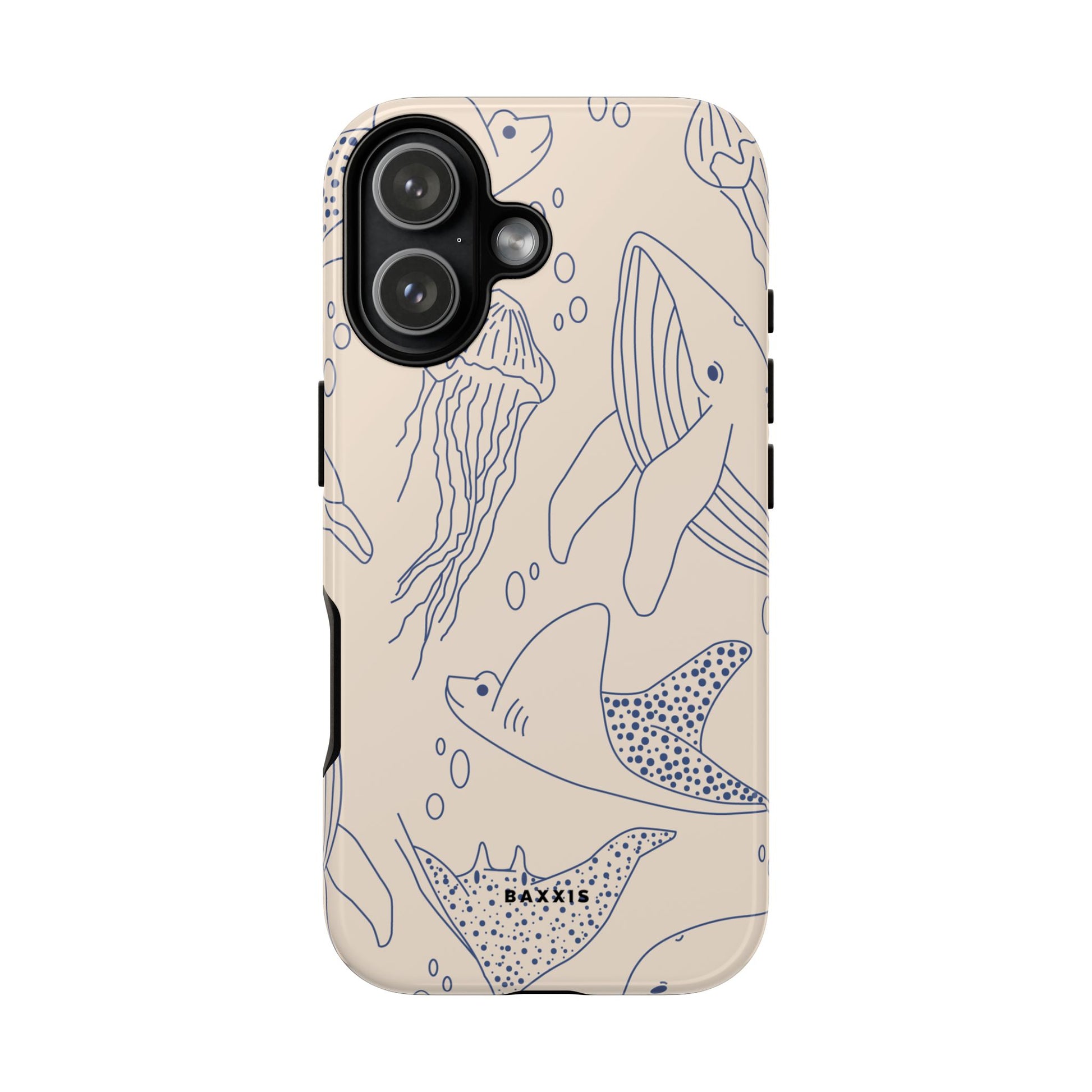Seashell